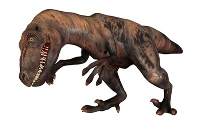 Raptor Velociraptor dinosours - isolated on white background