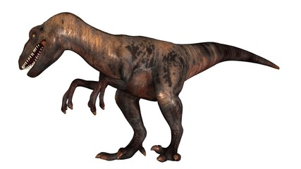 Raptor Velociraptor dinosours - isolated on white background