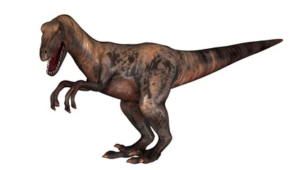 Obraz na płótnie Canvas Raptor Velociraptor dinosours - isolated on white background