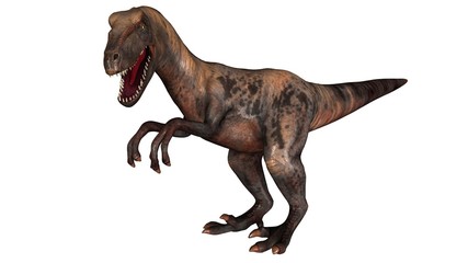 Fototapeta premium Raptor Velociraptor dinosours - isolated on white background