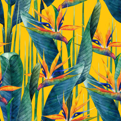 Watercolor strelitzia pattern