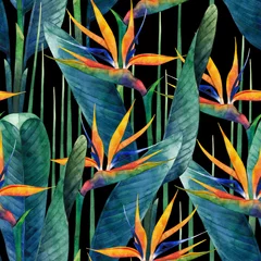Aluminium Prints Paradise tropical flower Watercolor strelitzia pattern