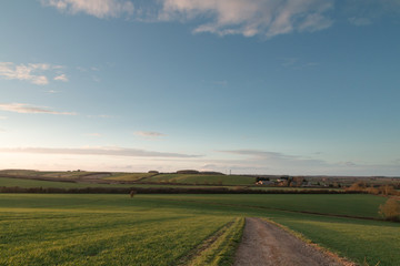 Stone Path In The Countryside Fields
