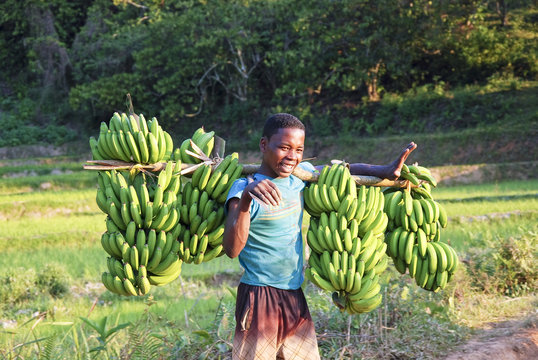 Handsome Malagasy boy with bannanas