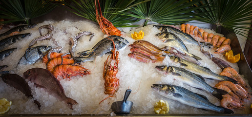 Fresh seafood and fishes lying on ice in the showcase. Rethymno on Crete island, Greece.