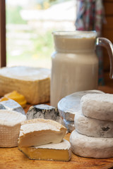 Set of different cheese