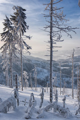 Śnieżny spacer po Polskich górach przed zachodem słońca. © Radosław Czapla