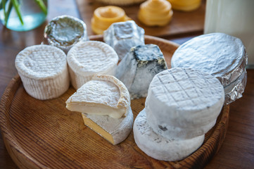 Set of different cheese