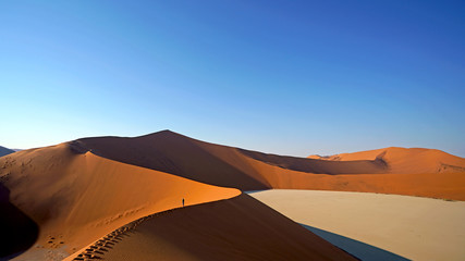 Fototapeta na wymiar Big Daddy Dune in Sossusvlei, Namib-Naukluft National Park, Namibia