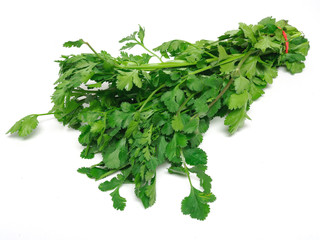 Koriander