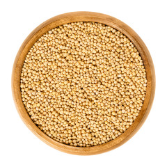 Yellow mustard seeds in wooden bowl. Sinapis alba, also white mustard or eye of newt. Used for sprouting, as spice and for making mustard. Macro food photo close up from above on white background.