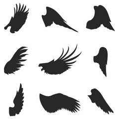 Wings vector icons set. Wing set, icon wing, feather wing bird illustration stock vector.