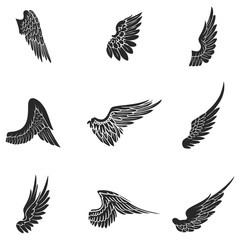 Wings vector icons set. Wing set, icon wing, feather wing bird illustration stock vector.