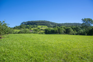 Asturian landscape 72