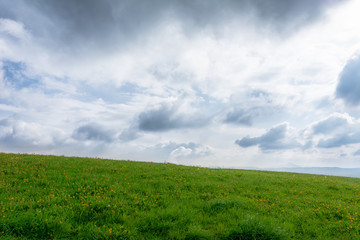 Fototapeta na wymiar Landschaft mit grünem Feld und wolkigem Himmel mit Textfreiraum im Sommer