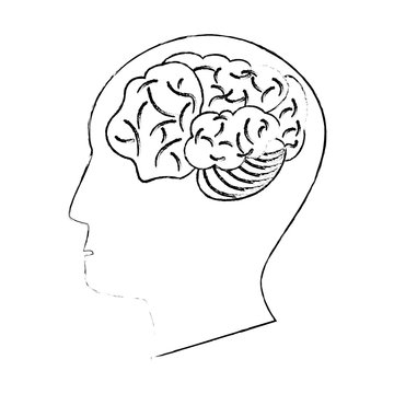 head human brain thinking idea sketch vector illustration eps 10