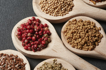 Various of spices in wooden spoons
