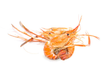 Grilled giant freshwater prawn isolated on white
