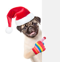 Pug puppy in red christmas hat peeking and pointing at blank placard. isolated on white background