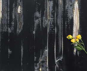 old,
Weathered, black wood background, yellow roses