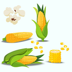 sweet golden corn