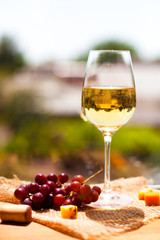 Grape, cheese with a glass of white wine on green blurred background