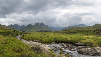 Mountain stream and green grass