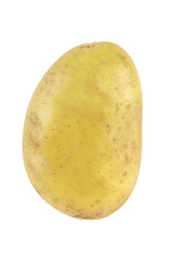 New potato isolated on white background close up