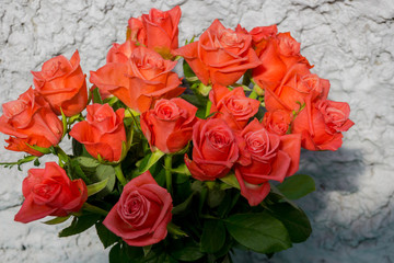 Red rose flowers on the light background