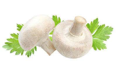 Two champignon mushrooms and parsley leaves isolated on white background