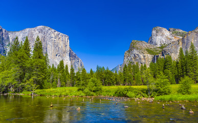 Fototapeta na wymiar Merced River at Yosemite National Park