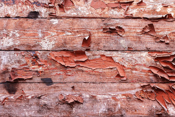 Old wooden background. Rustic style. Board. Wallpaper