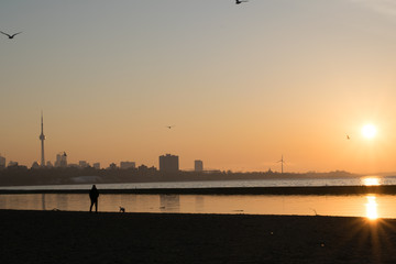 Walking the dog on the beach at sunrise with Toronto Skyline