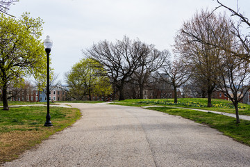 Fototapeta na wymiar Spring landscape of patterson park with flowers in baltimore maryland