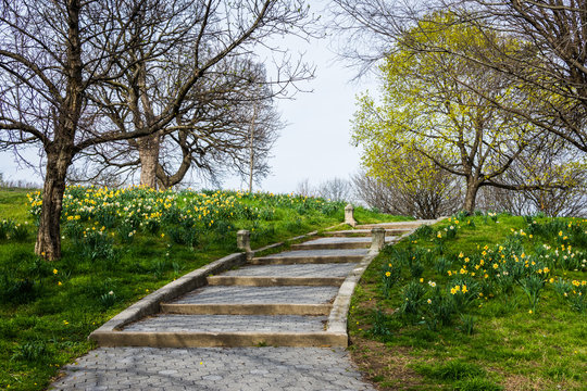 Spring landscape of patterson park with flowers in baltimore maryland