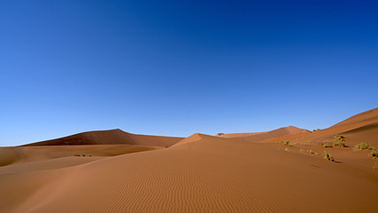 Fototapeta na wymiar Sand Dunes in Sossusvlei, Namib-Naukluft National Park, Namibia