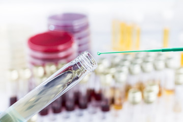 Inoculation of sample in culture medium in tube / Analysis of urine sample in tube for Bacterial...