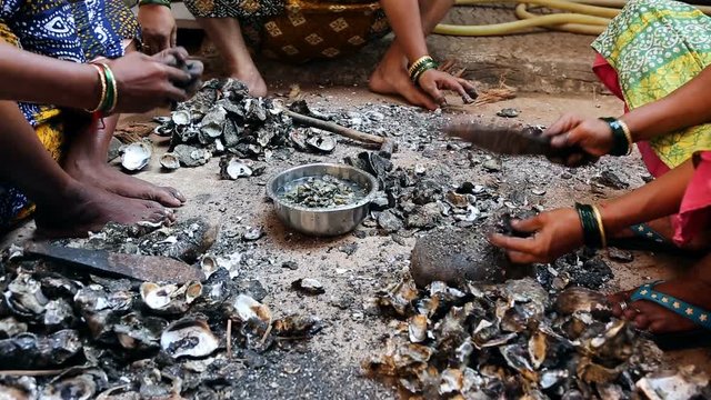 Indian Womens cleaning mussels after fishing. The life of a fishing Indian village