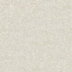 Plaster Perfectly Seamless Texture 