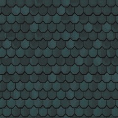 Roof Perfectly Seamless Texture 