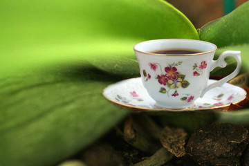 cafe