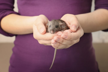 Young woman with cute funny rat, closeup