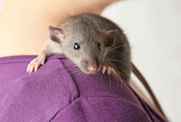 Young woman with cute funny rat, closeup