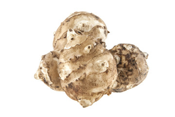 Jerusalem artichoke isolated on white background