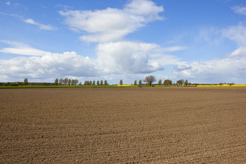 agricultural landscape with plowed soil