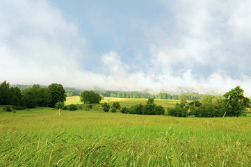 Landscape after the storm