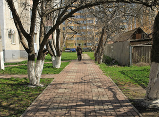 Spring alley © irisff