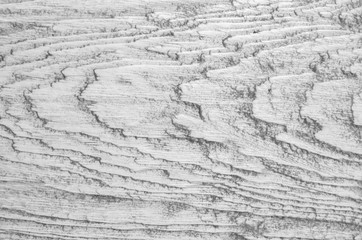 Nature wood background