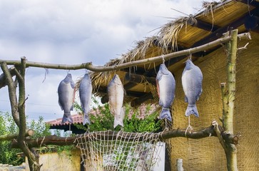 Dryed Fish at Village