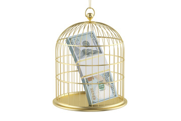 Birdcage with dollar bill inside, 3D rendering